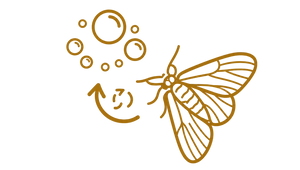 Controlled Diffusion